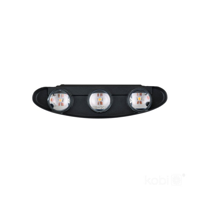 LED Wandleuchte 6W Bi-direktional 180° 166x79mm IP54
