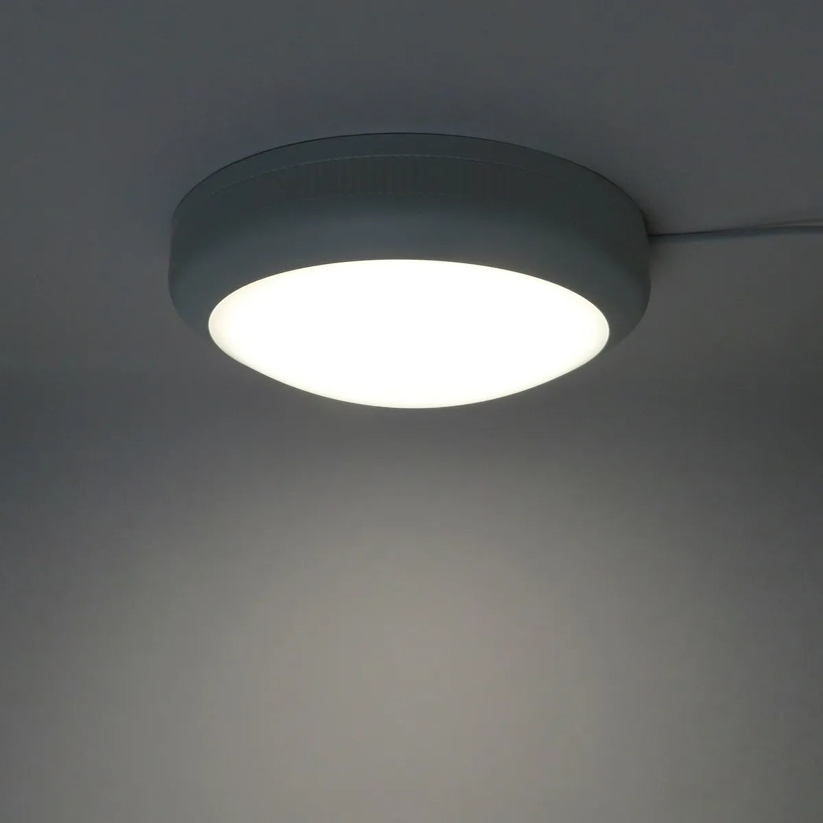 LED-Schott-Aufputzmontage, IP66 IK08, wasserbeständig, 30 cm, 20 W