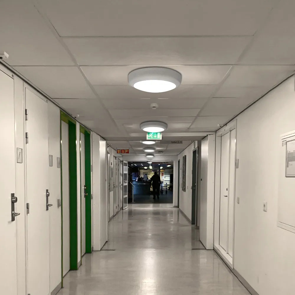 LED-Schott-Aufputzmontage, IP66 IK08, wasserbeständig, 36 cm, 30 W