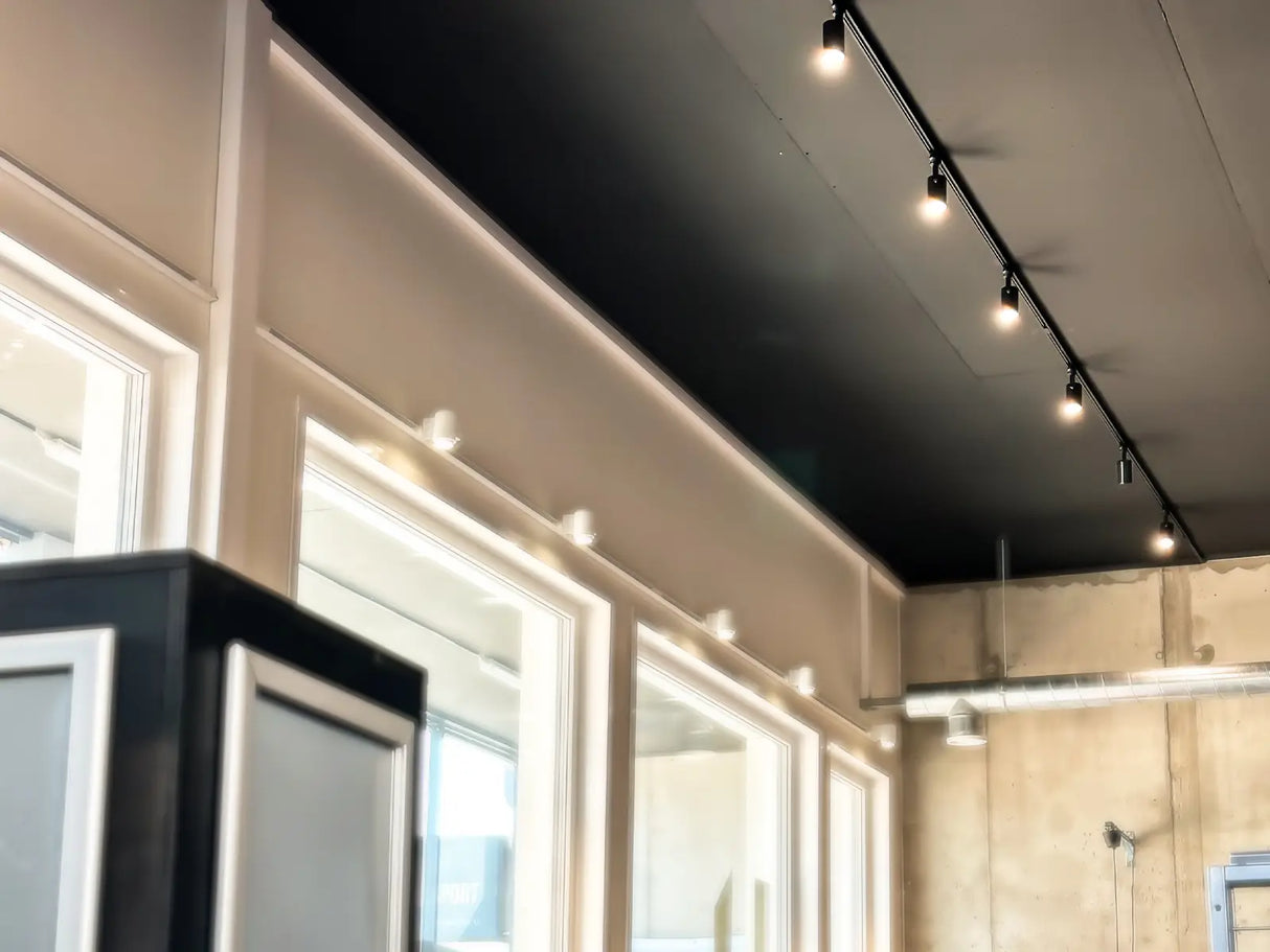 Energieeffizienter COB LED Schienenstrahler 3 Phasen 30W mit Philips Treiber