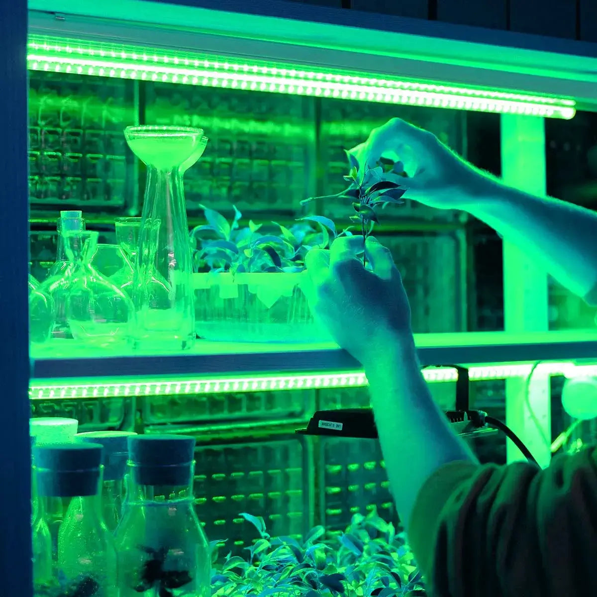 LED-Streifen RGB 5 Meter SMD5050 Pro-X 60LEDS/m IP65