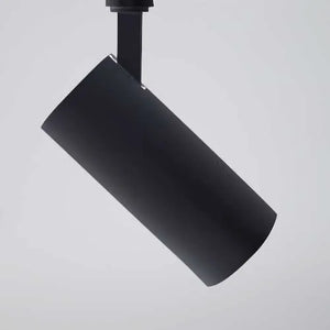 LED Railspot 3 fase 20W CRI>90 met Philips-driver