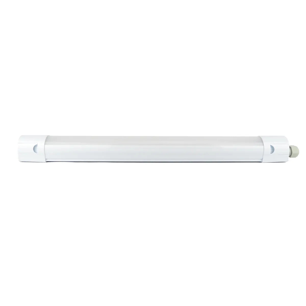 LED Tri-proof IP65 waterbestendig 150cm 50W Philips-driver V2.0